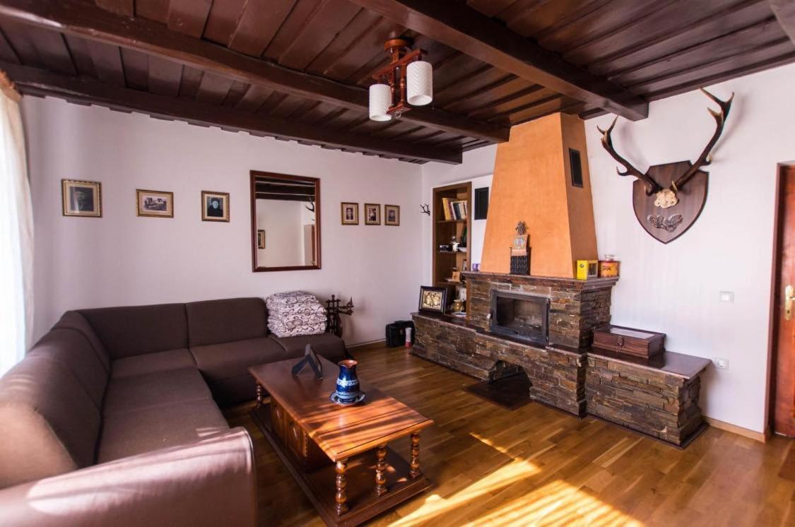 Вилла Casa Vatra Sinteului - Cu Sala De Evenimente De Capacitate Mare - Se Inchiriaza Integral Socet Экстерьер фото